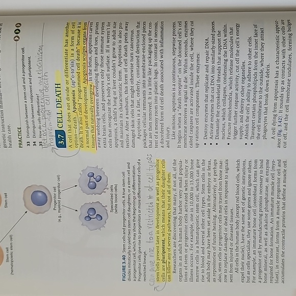 Hole's Human Anatomy and Physiology 12th Edition HardCover Book - Picture 2 of 4